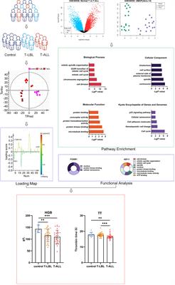 Key candidate genes and pathways in T lymphoblastic leukemia/lymphoma identified by bioinformatics and serological analyses